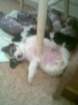 snmka003_small.jpg